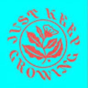 Meet your Posher, Ashlie